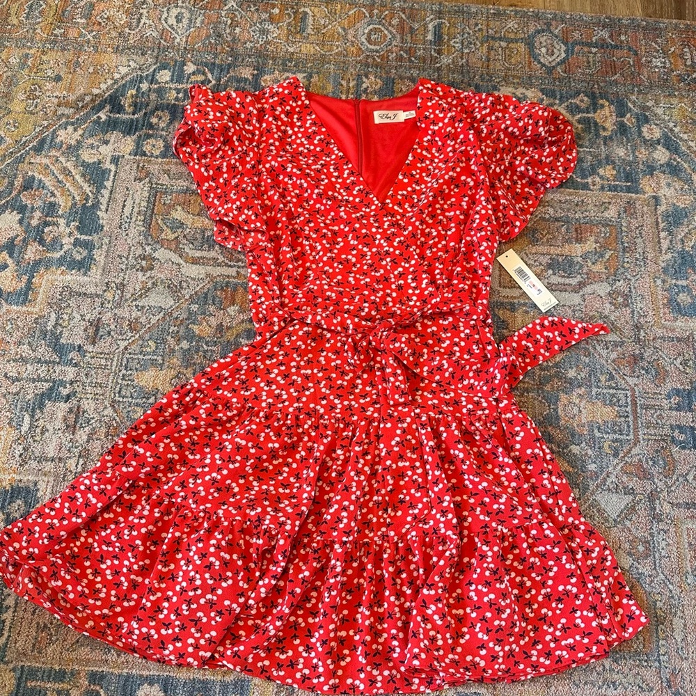 Eliza J Red Floral Dress